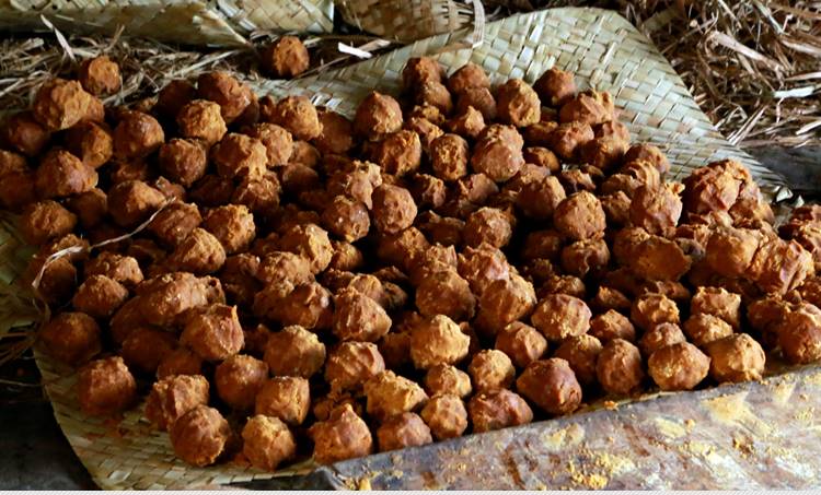 marayoor jaggery, agriculture, kau