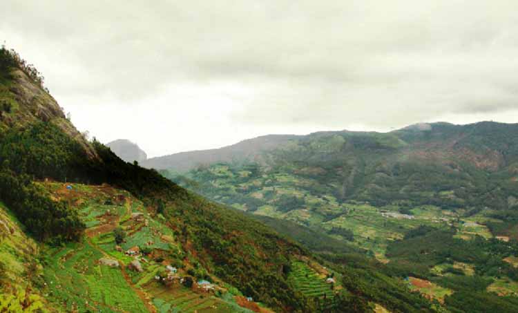 kottakkambur, kottakamboor, neelakurinji, land issue, idukki,