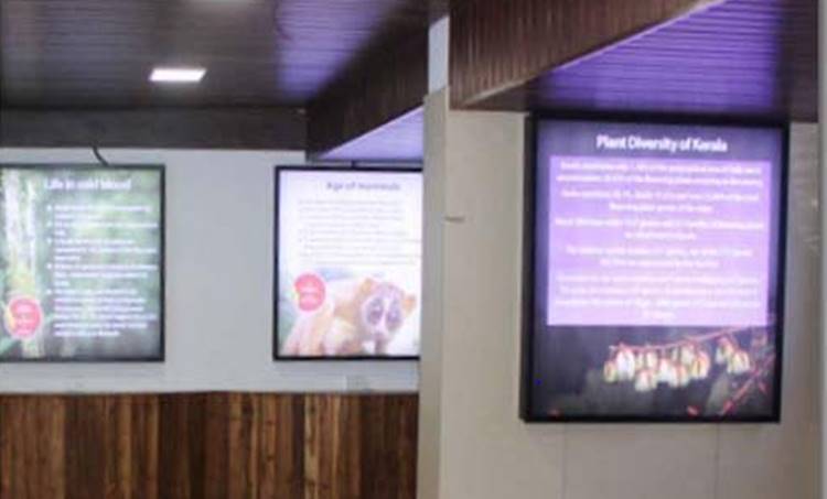 Biodiversity Museum in thiurvananthapuram,,
