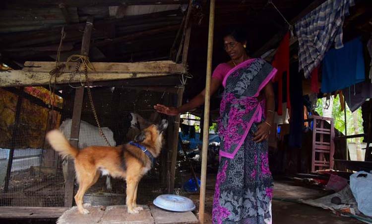 Mahatma Swachh Bharat: ‘I have work to do… I keep the temple clean, I keep my house clean’