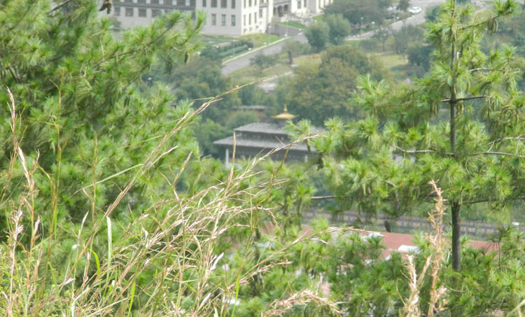 aymanam john,bhutan