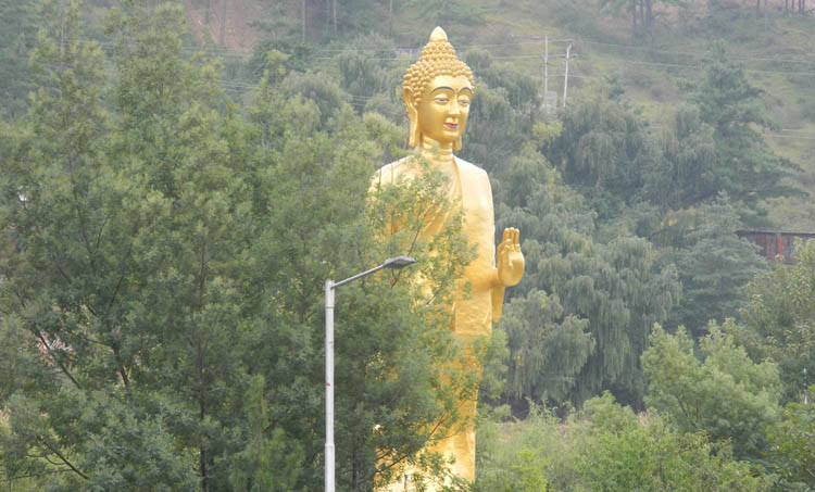 aymanam john,bhutan,memories