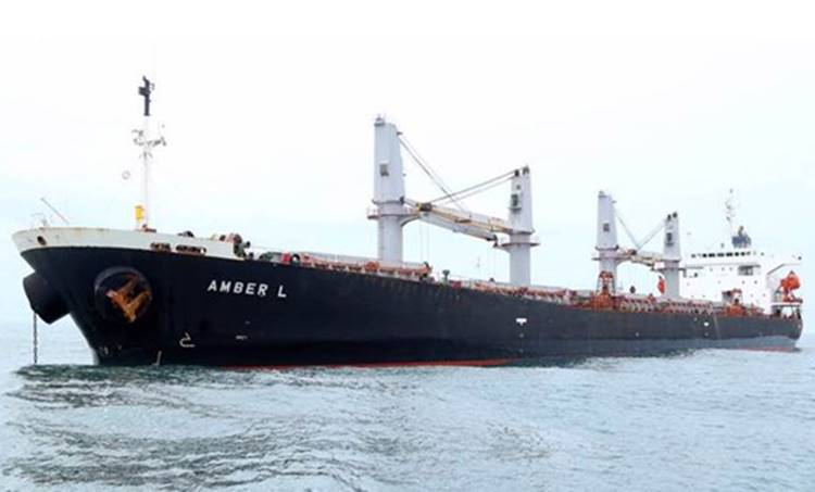 Amber L, ship-boat accident, ship boat collition, Accidents in Sea, collision in sea, ആംബർ എൽ, ചരക്കുകപ്പൽ, മത്സ്യബന്ധന ബോട്ട്, കാർമൽ മാതാ ബോട്ട്, ഗ്രീക്ക് കപ്പൽ, Panama Registered Greek Ship, Cargo ship from Greece, Cargo ship, Cargo ship accident, Kerala fishermen, Fishermen death, കേരളത്തിലെ മത്സ്യത്തൊഴിലാളികൾ,