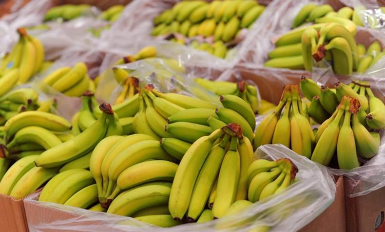 Bananas, ie malayalam