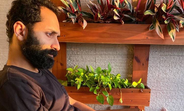 fahadh faasil, nazriya, ie malayalam