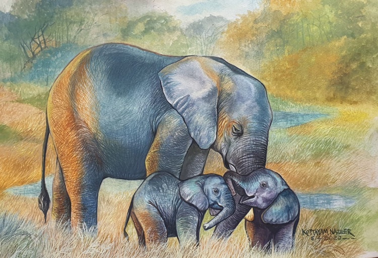 Kottayam Nazeer Paintings