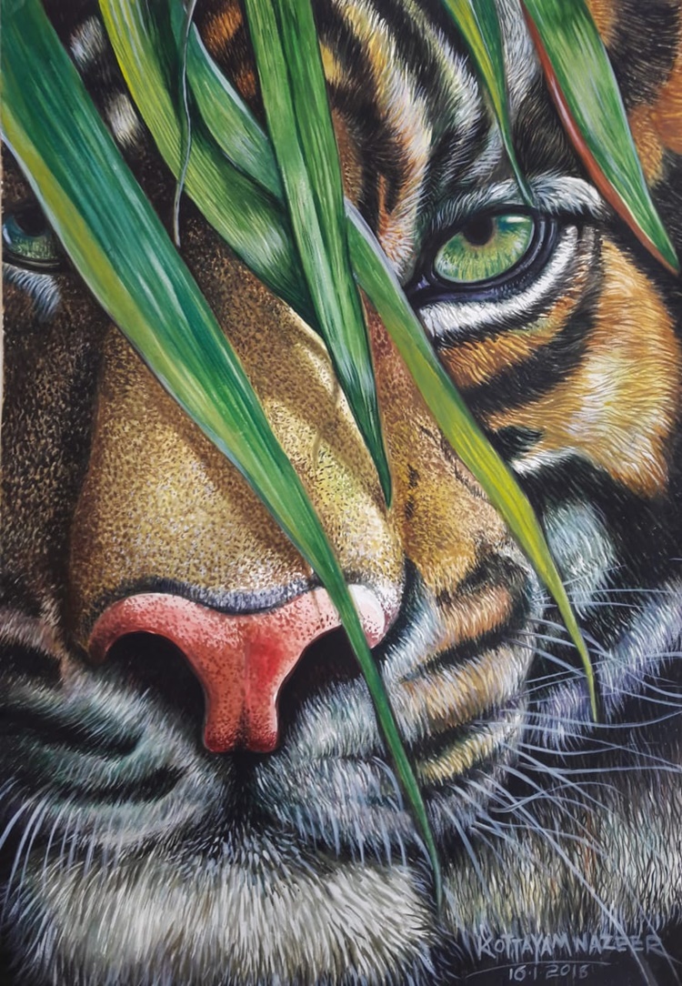 Kottayam Nazeer Paintings
